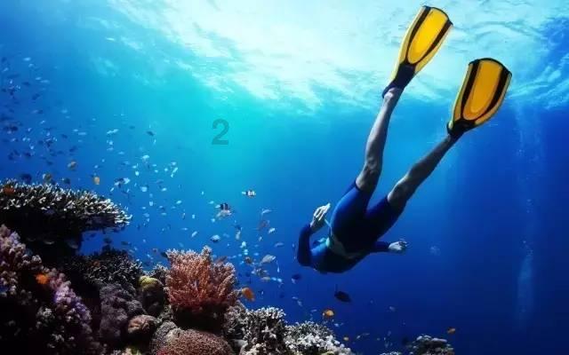 海南首批跨境交易绿电190万千瓦时 实现供港供澳“零”的突破